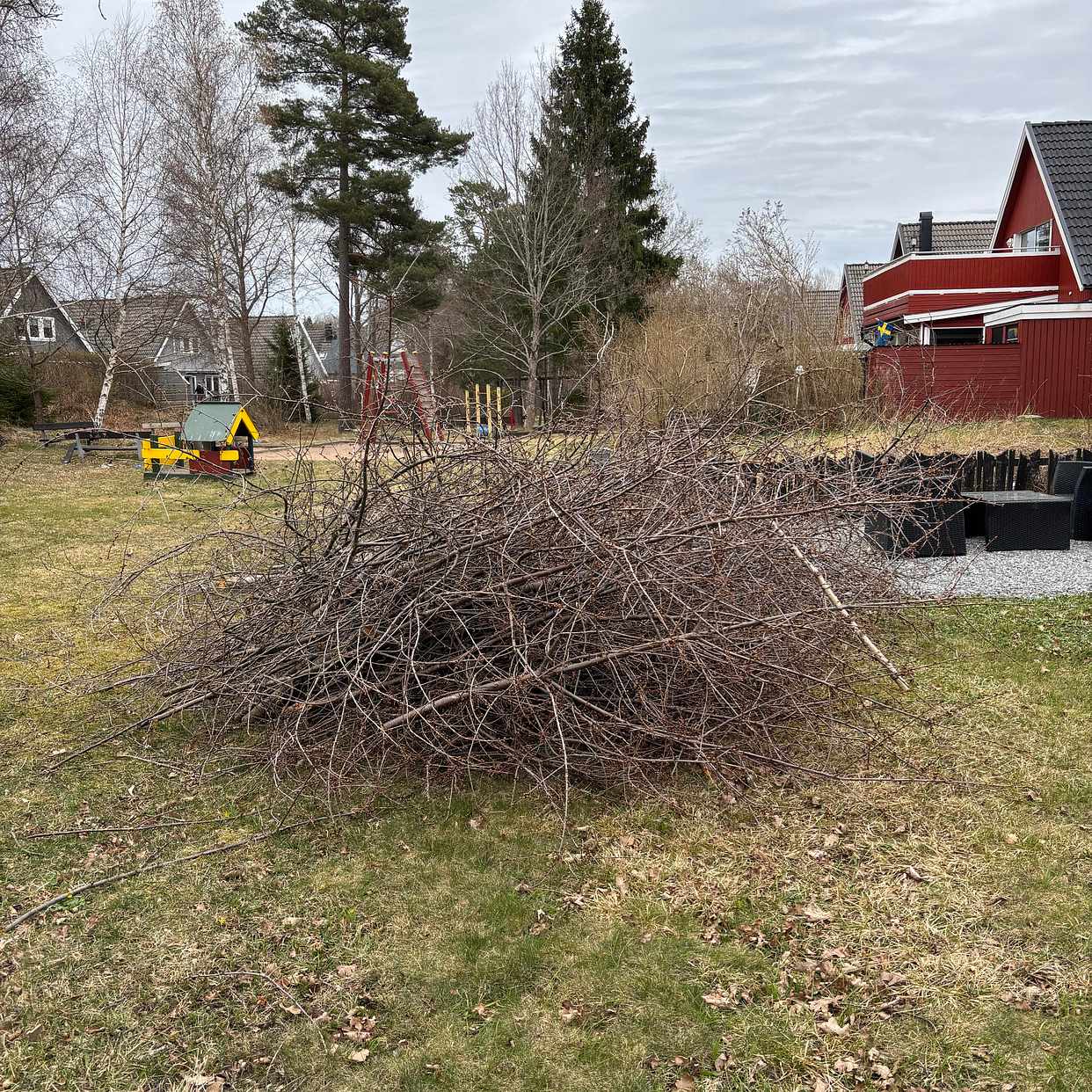 image of Grenar från träd - Åkersberga