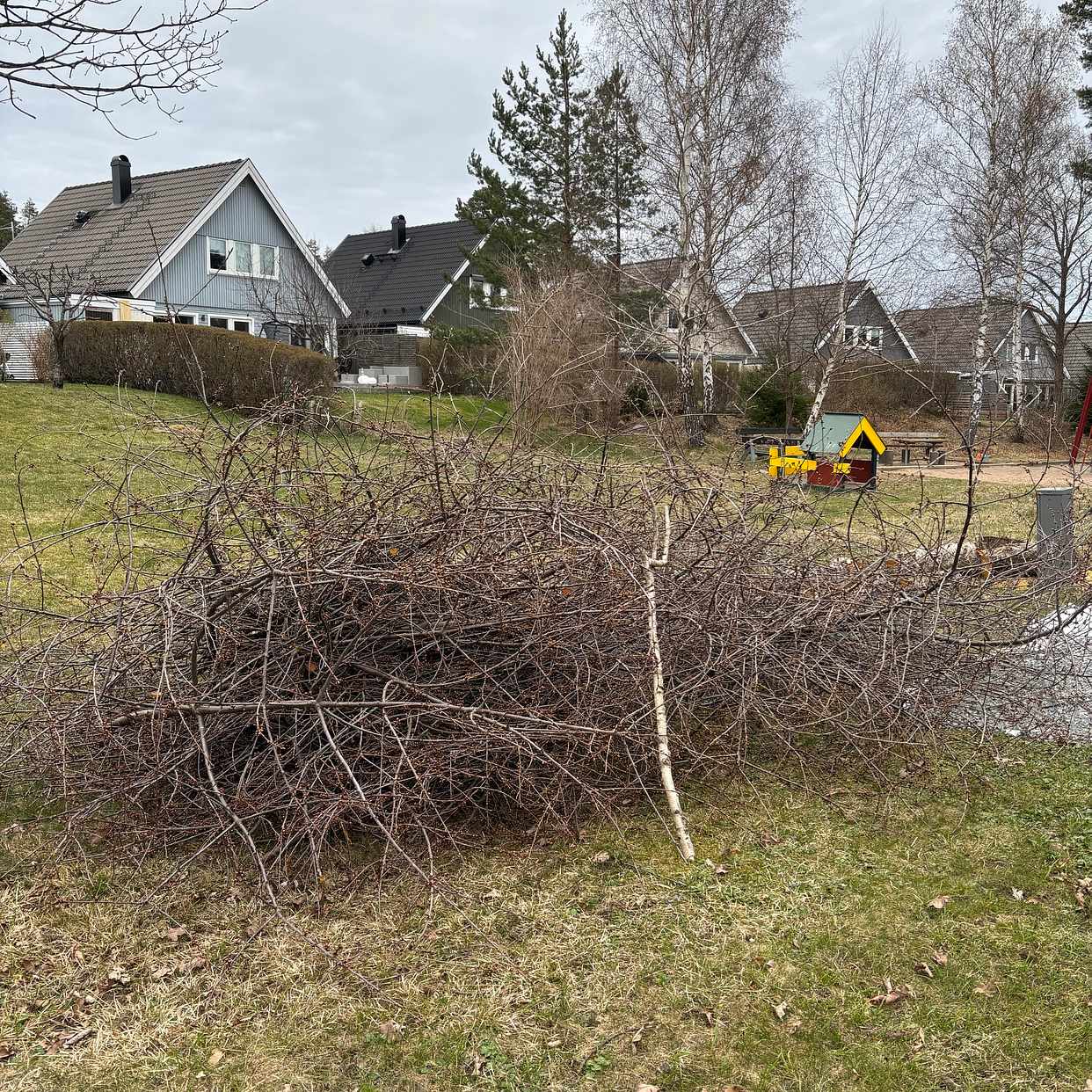 image of Grenar från träd - Åkersberga