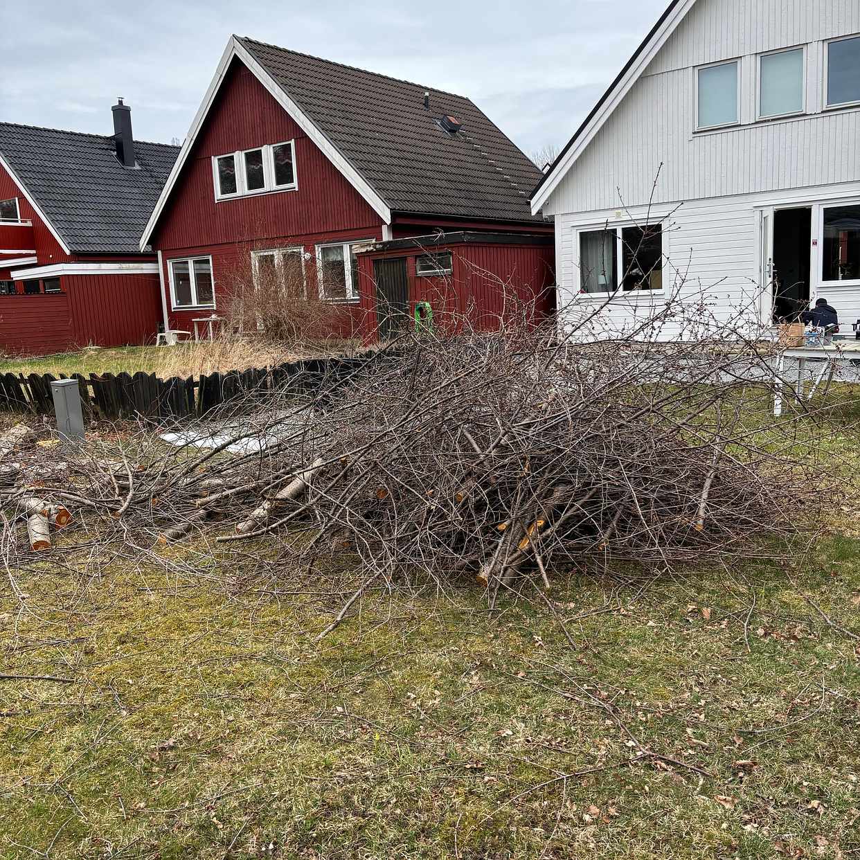 image of Grenar från träd - Åkersberga