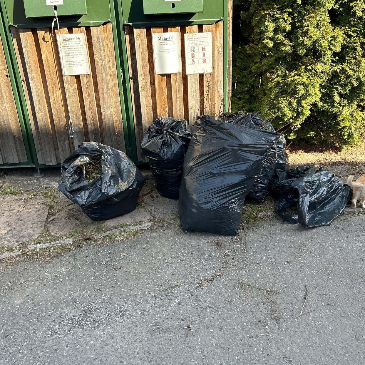 image of Lövsäckar och grenar - Älvsjö