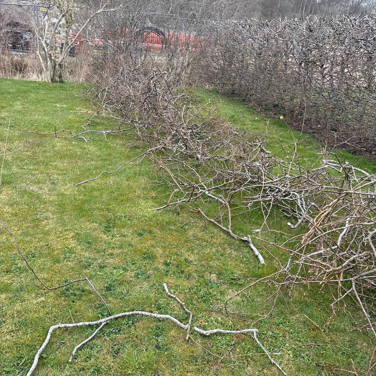 image of Grenar  ska slängas - Vallda