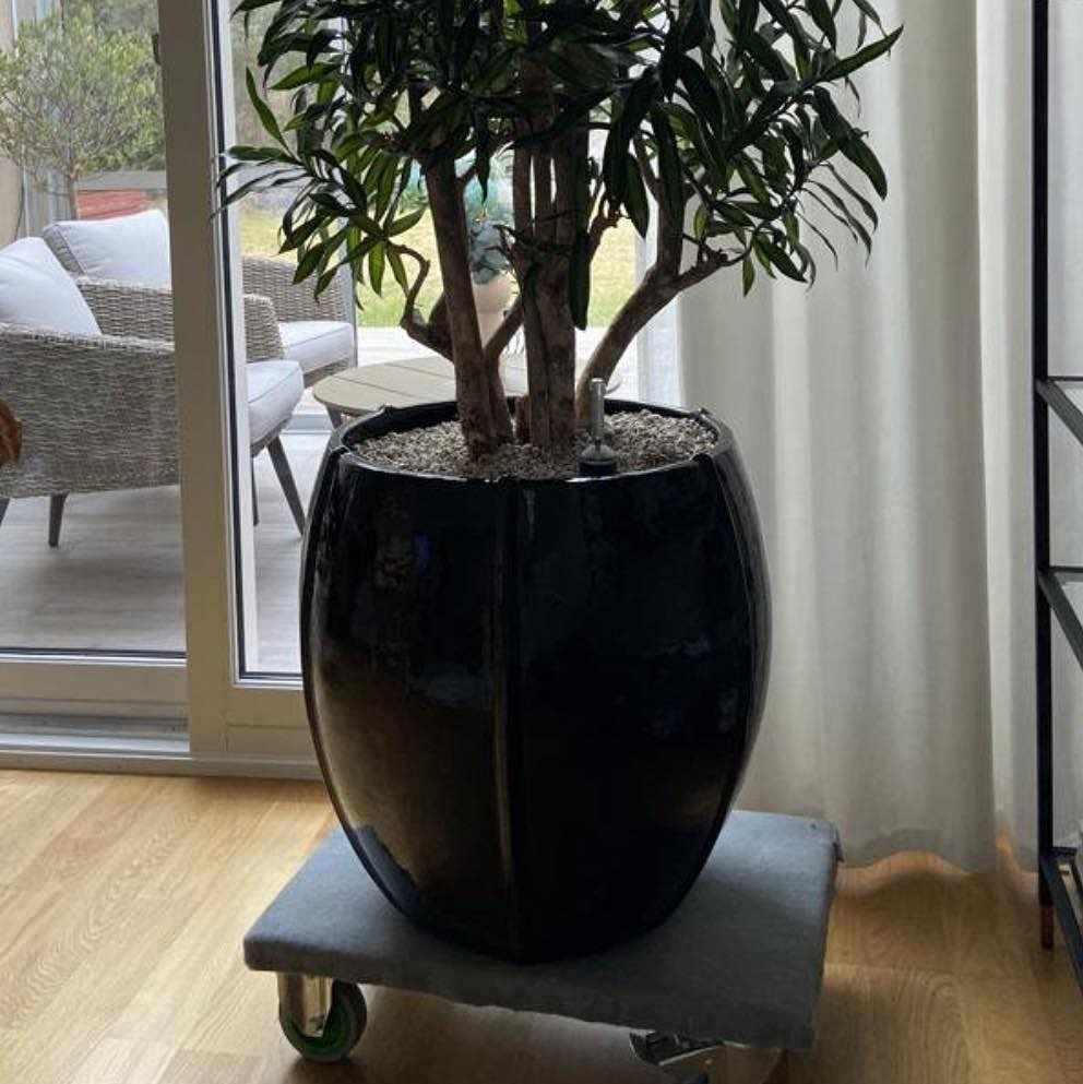image of Hämta tung kruka med växt - 