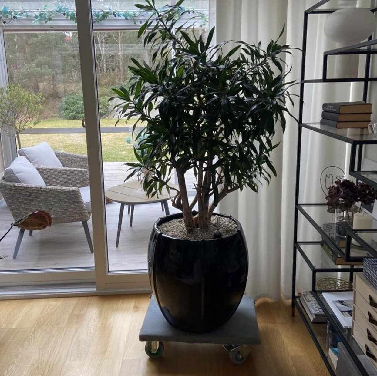 image of Hämta tung kruka med växt - 