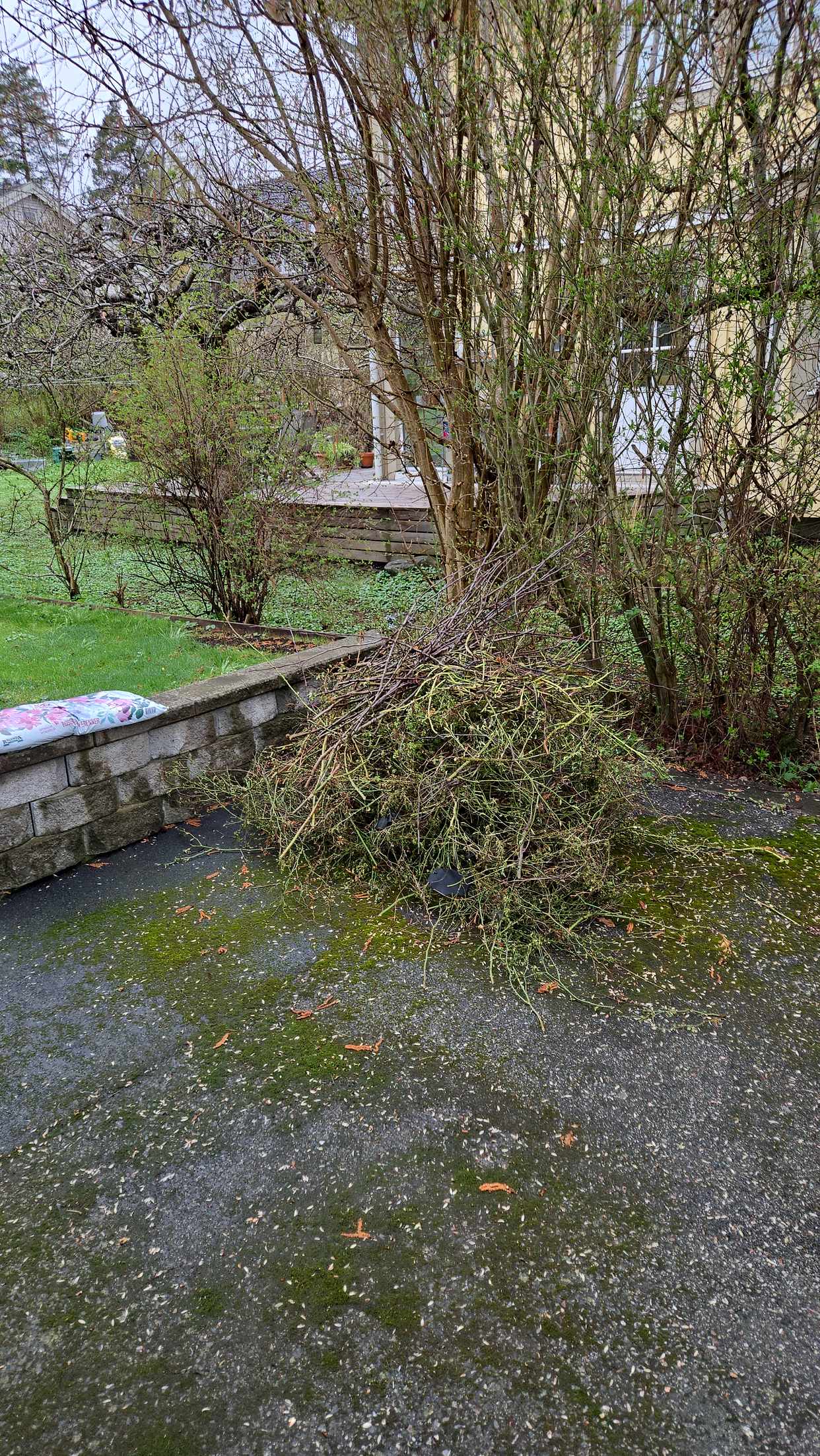 image of Buskar - Saltsjö-Duvnäs