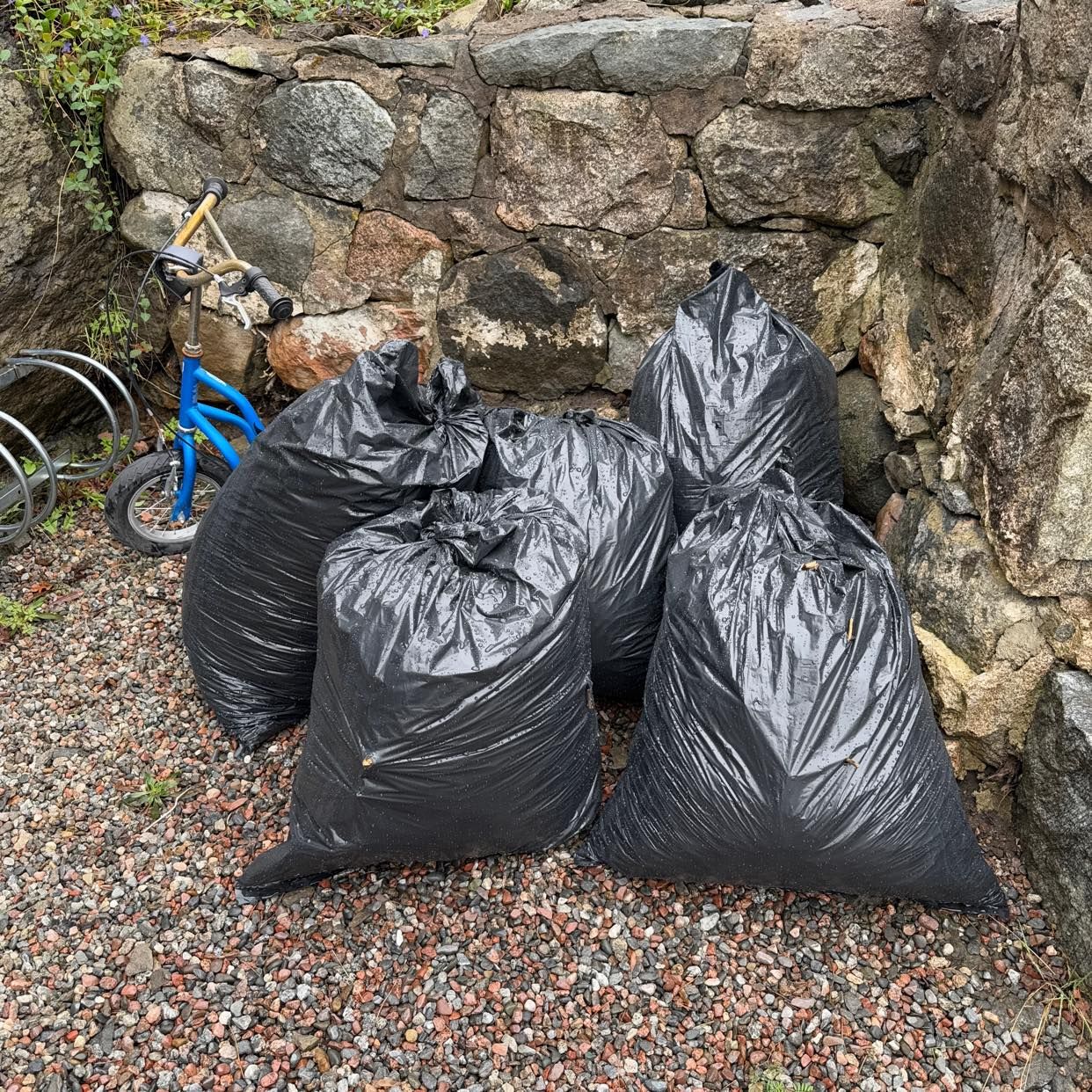 image of 5 lövsöckar + en spark - Saltsjöbaden