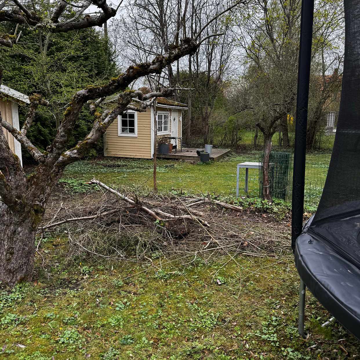 image of Ris och grenar. Tre högar - Bromma