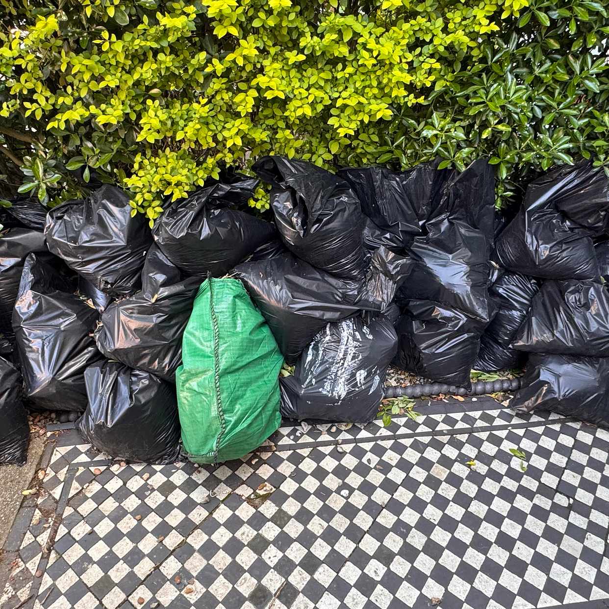 image of Garden waste. Bagged - London