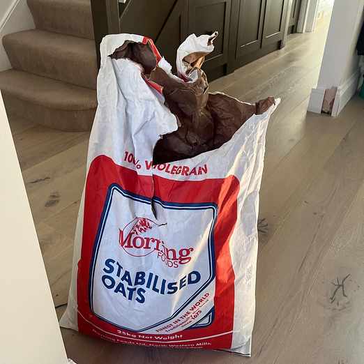 image of Porridge - London