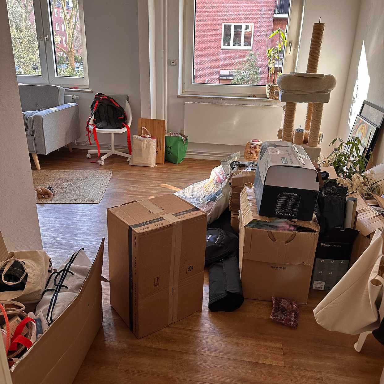 image of Moving out&in - 