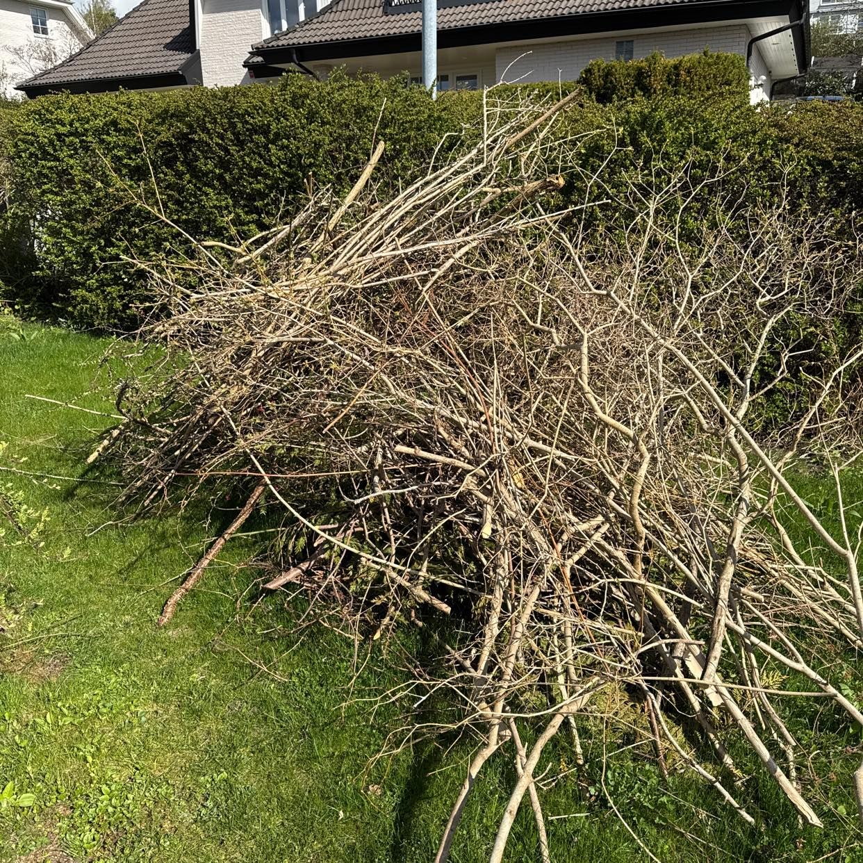 image of Slänga hög med kvistar - Täby