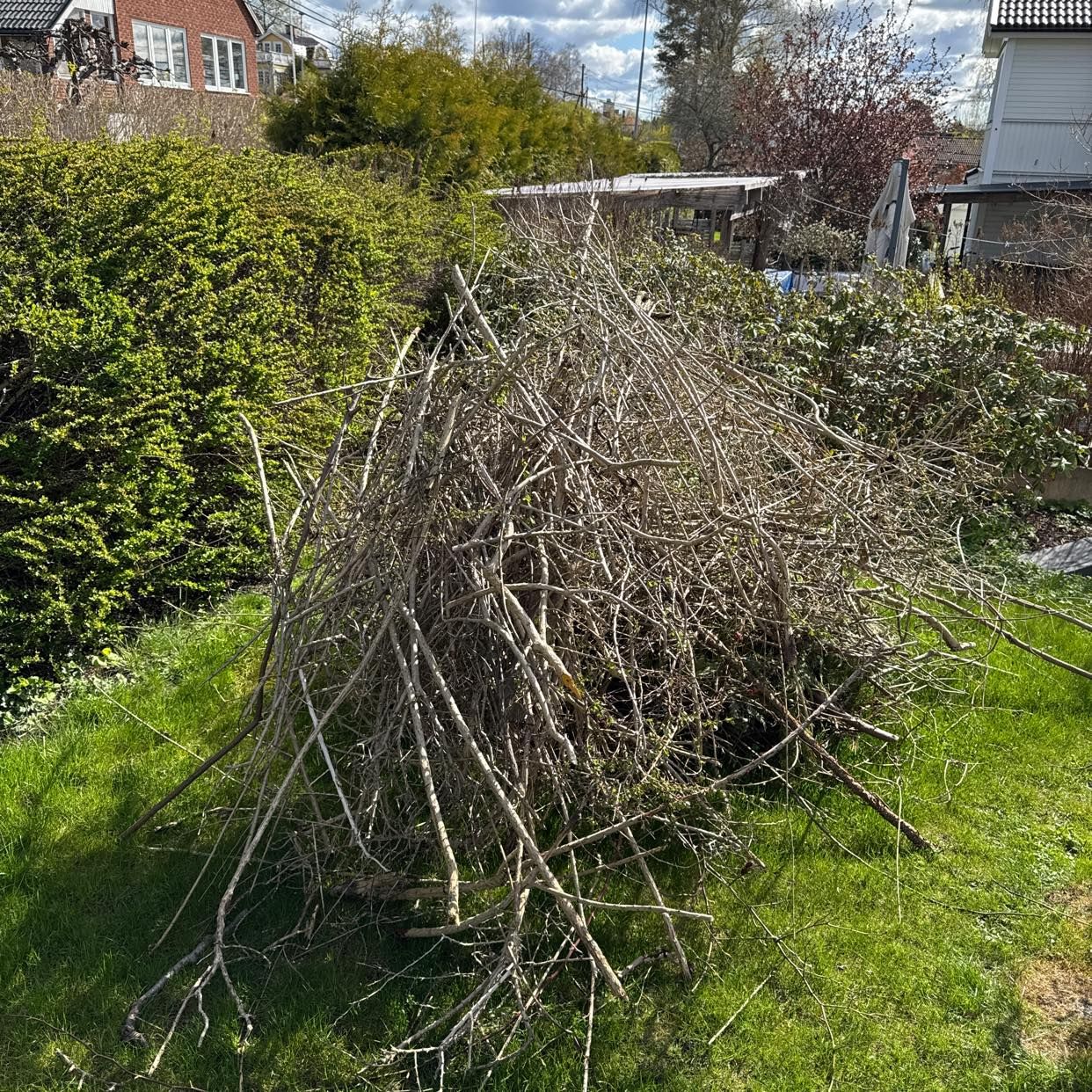 image of Slänga hög med kvistar - Täby