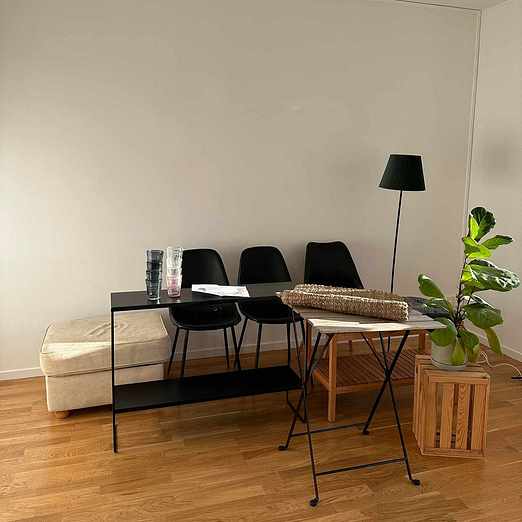 image of Möbler och växter - Bromma