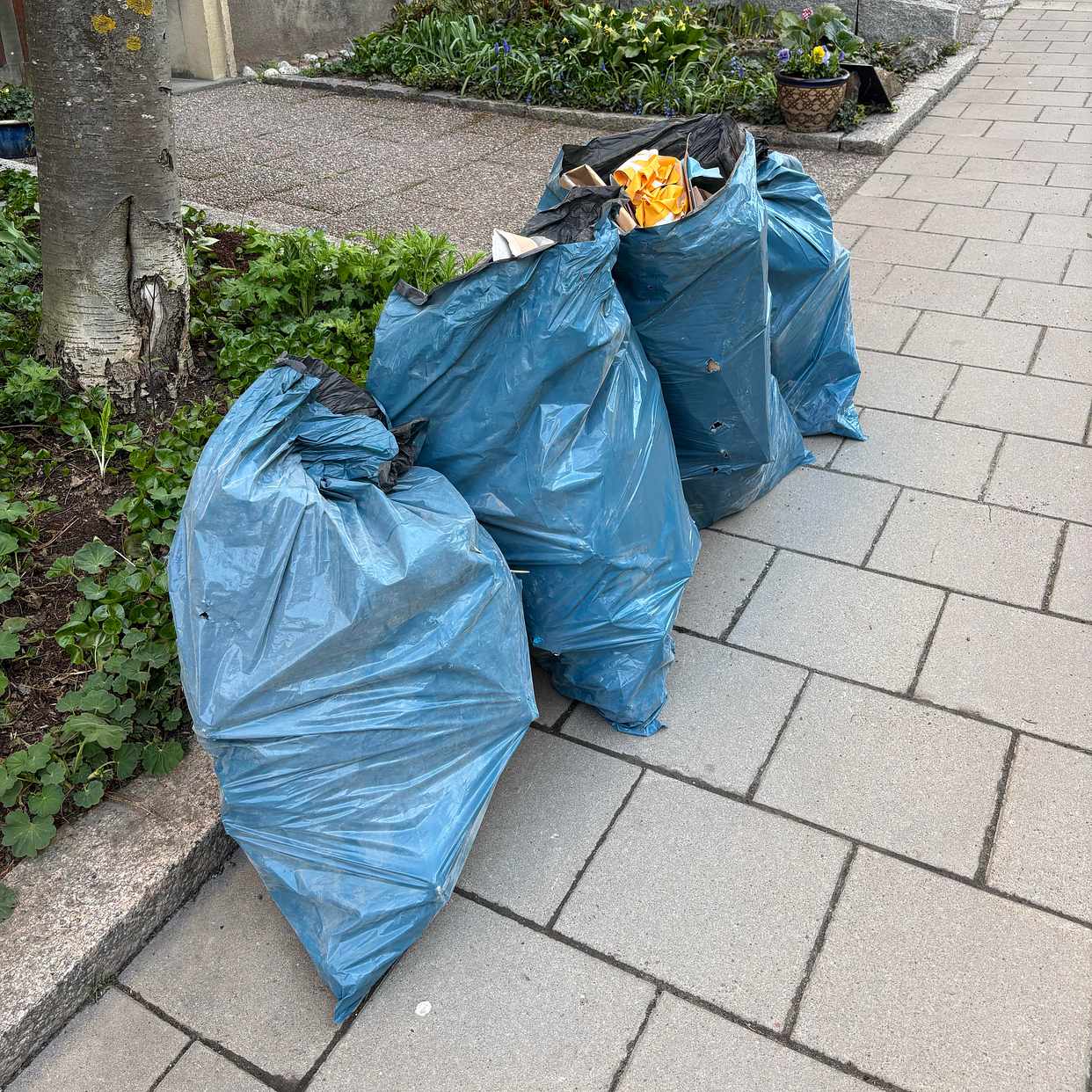 image of Slänga lätta sopsäckar - Stockholm
