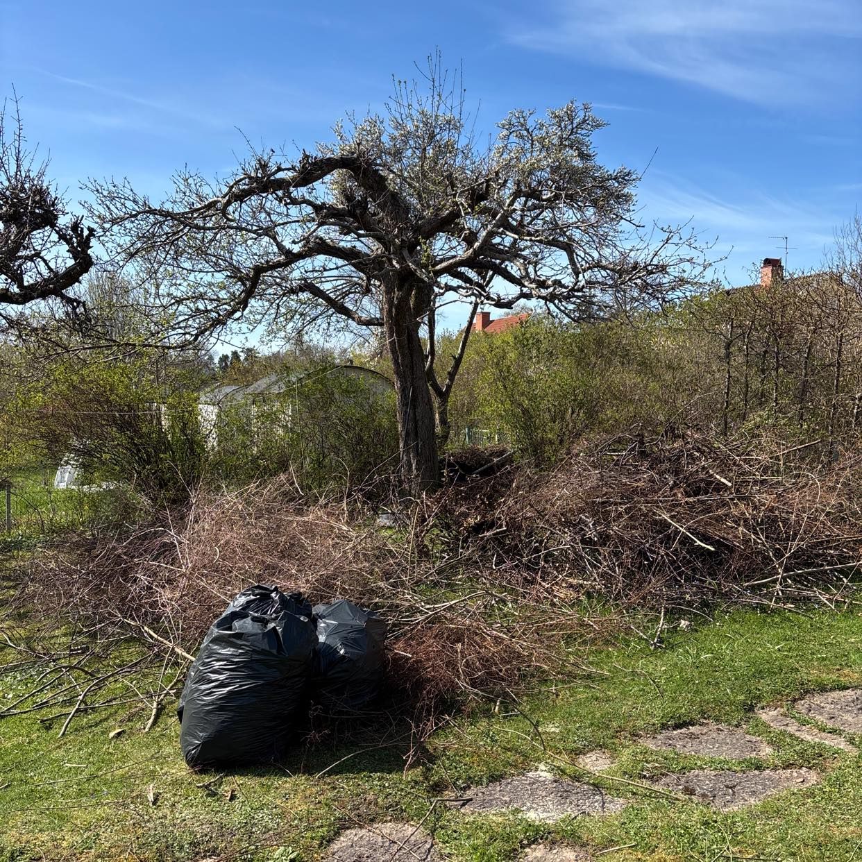 image of Remove gardenwaste - Bromma