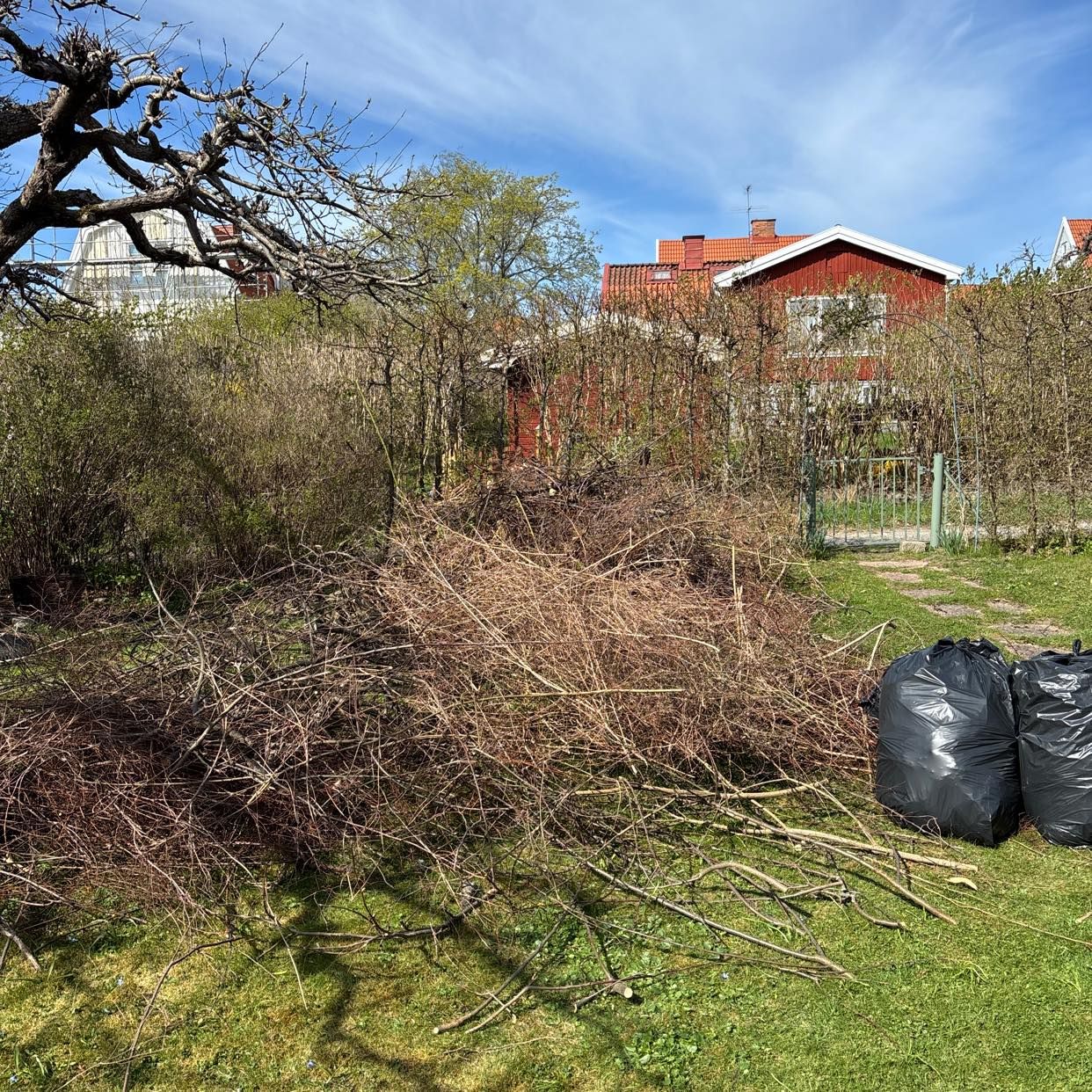 image of Remove gardenwaste - Bromma