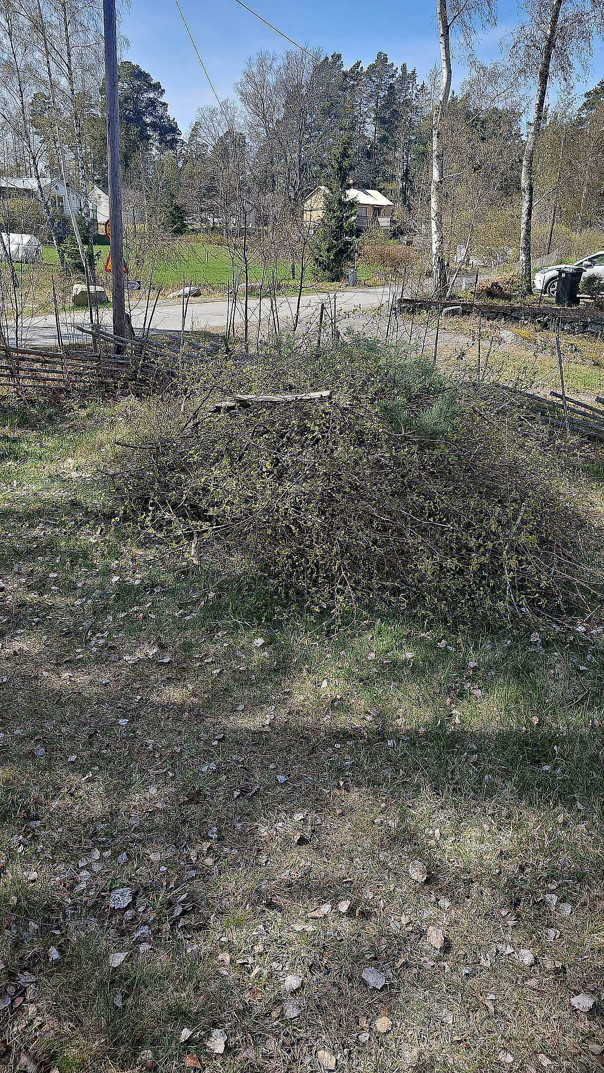 image of Små grenar behöver borttr - Gustavsberg