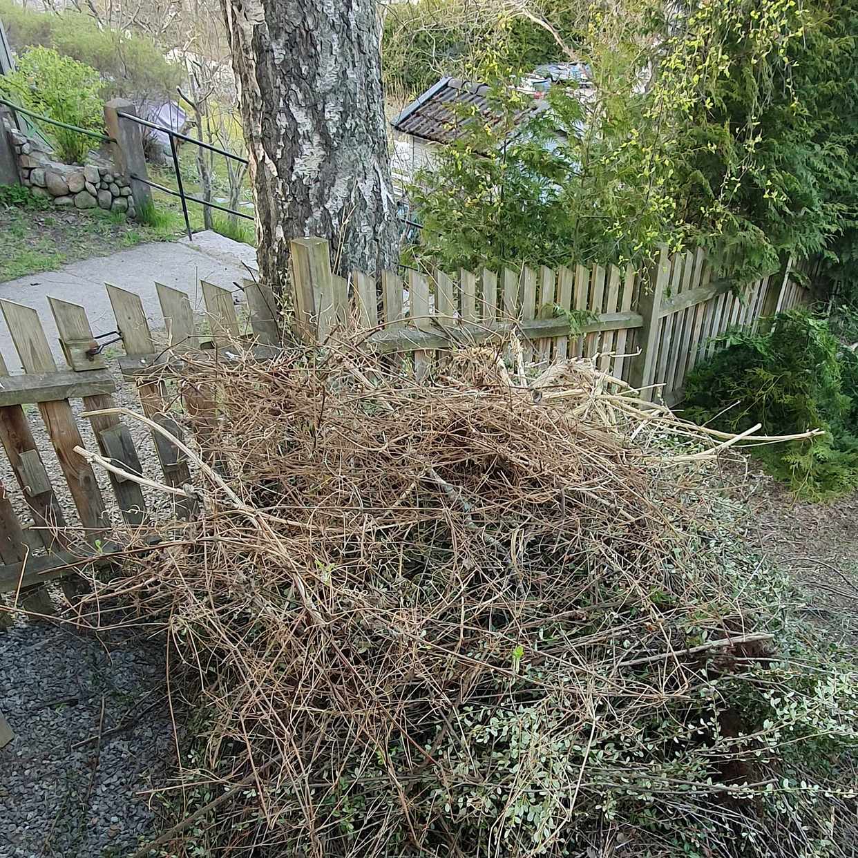 image of Hög med ris - Nacka