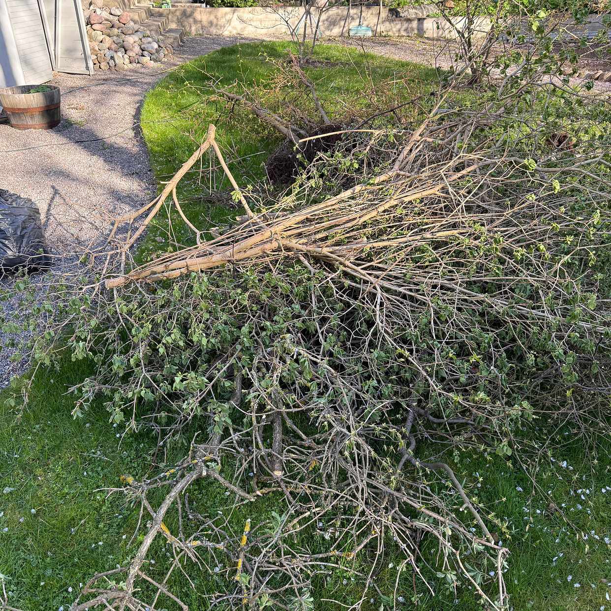 image of Hämta trädgårdavfall - Bromma