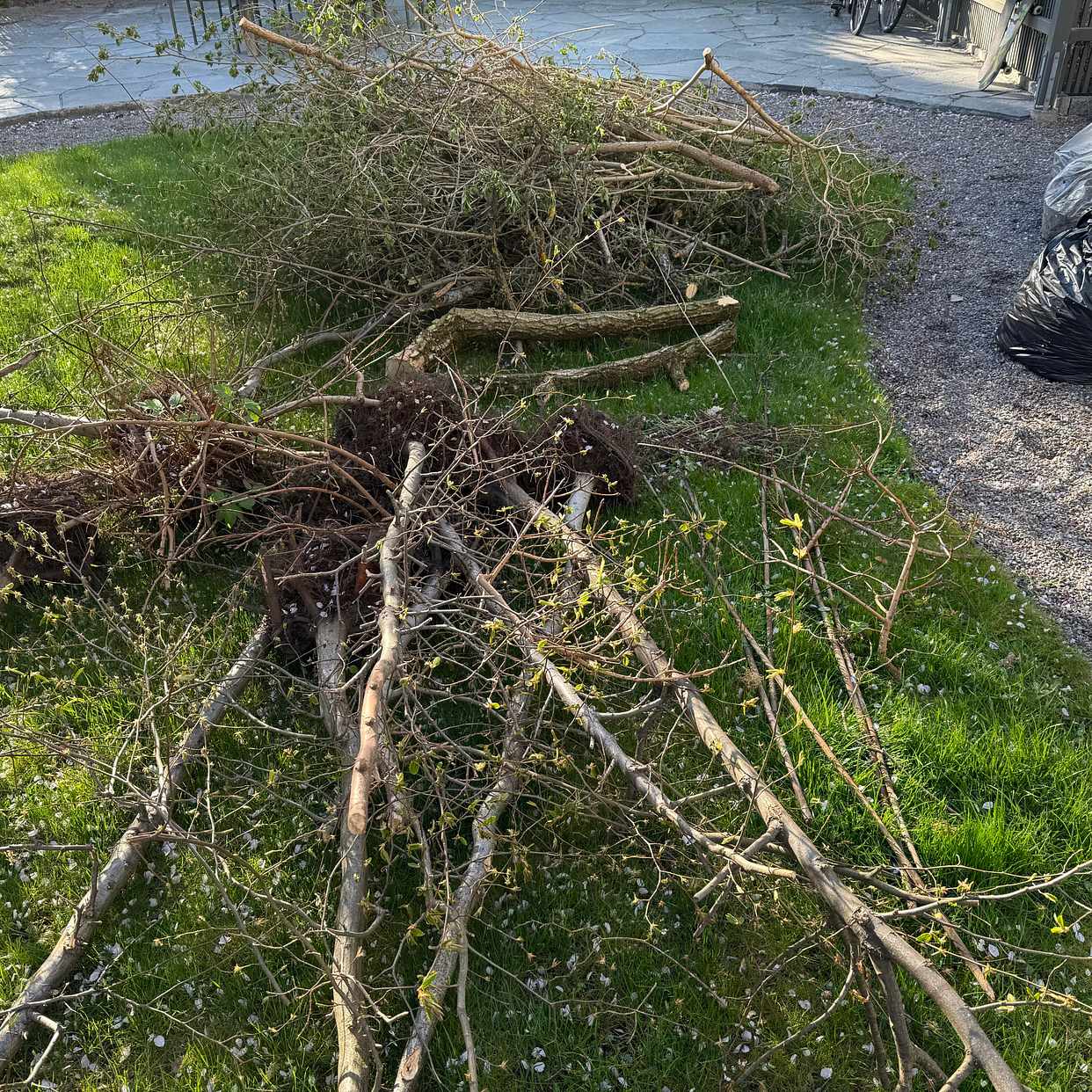 image of Hämta trädgårdavfall - Bromma