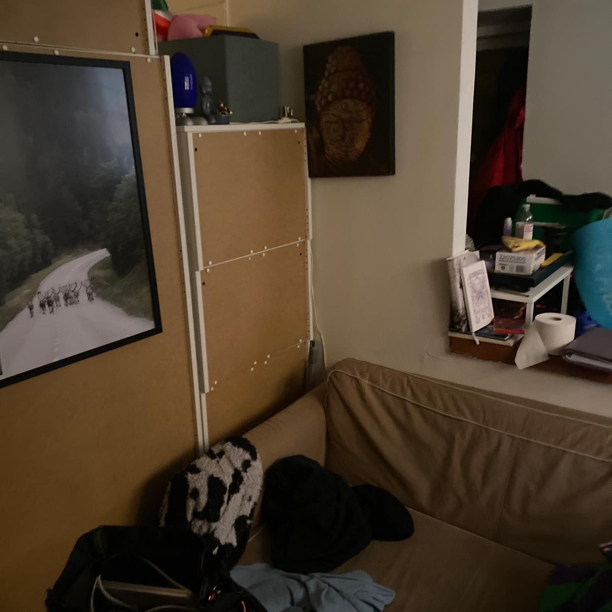 image of 1 sofa and guard robe - 