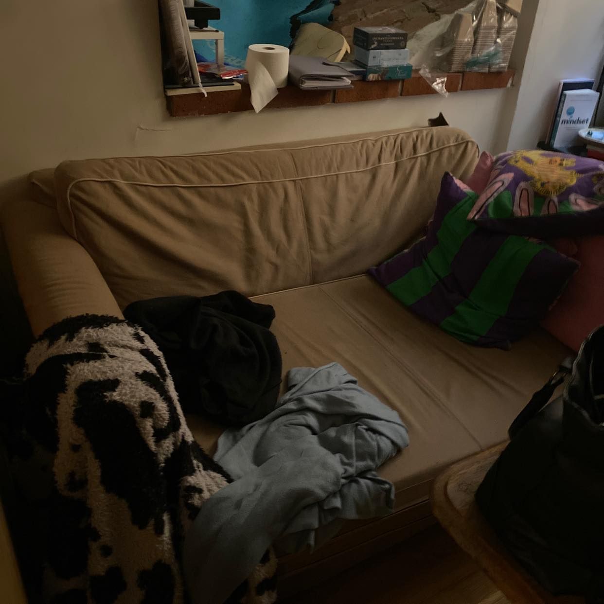 image of 1 sofa and guard robe - 