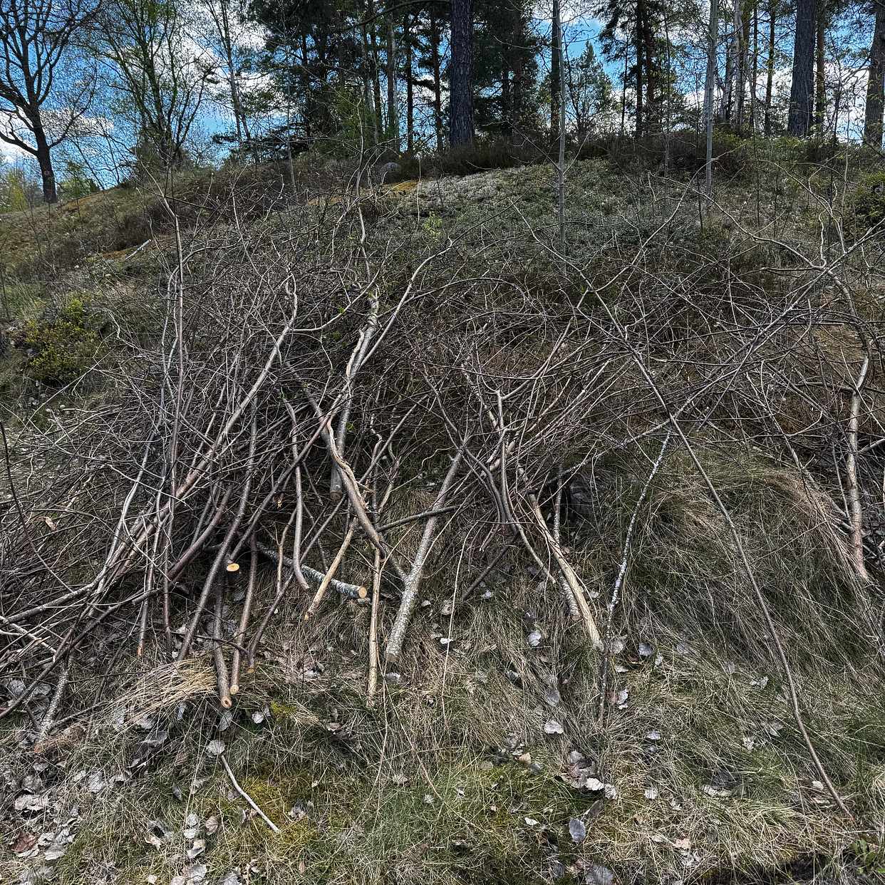 image of Slänga på tippen - Lidingö