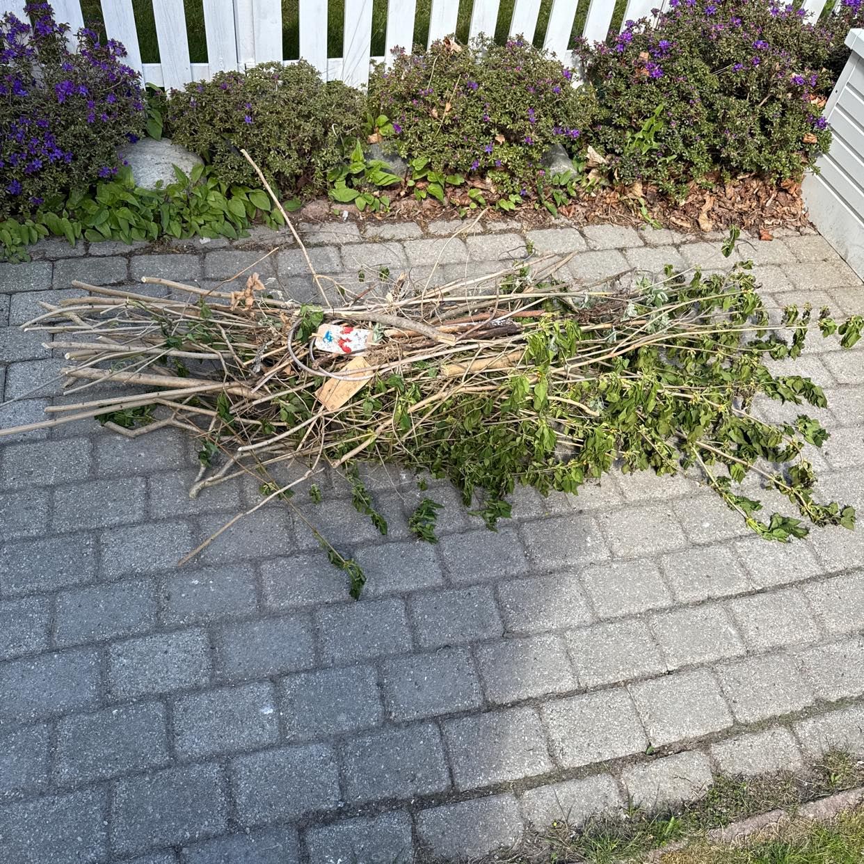 image of Ris till ÅVC - Spånga