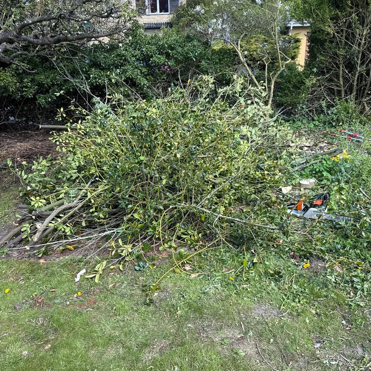image of Ta bort trädgårdsavfall - Västra Frölunda