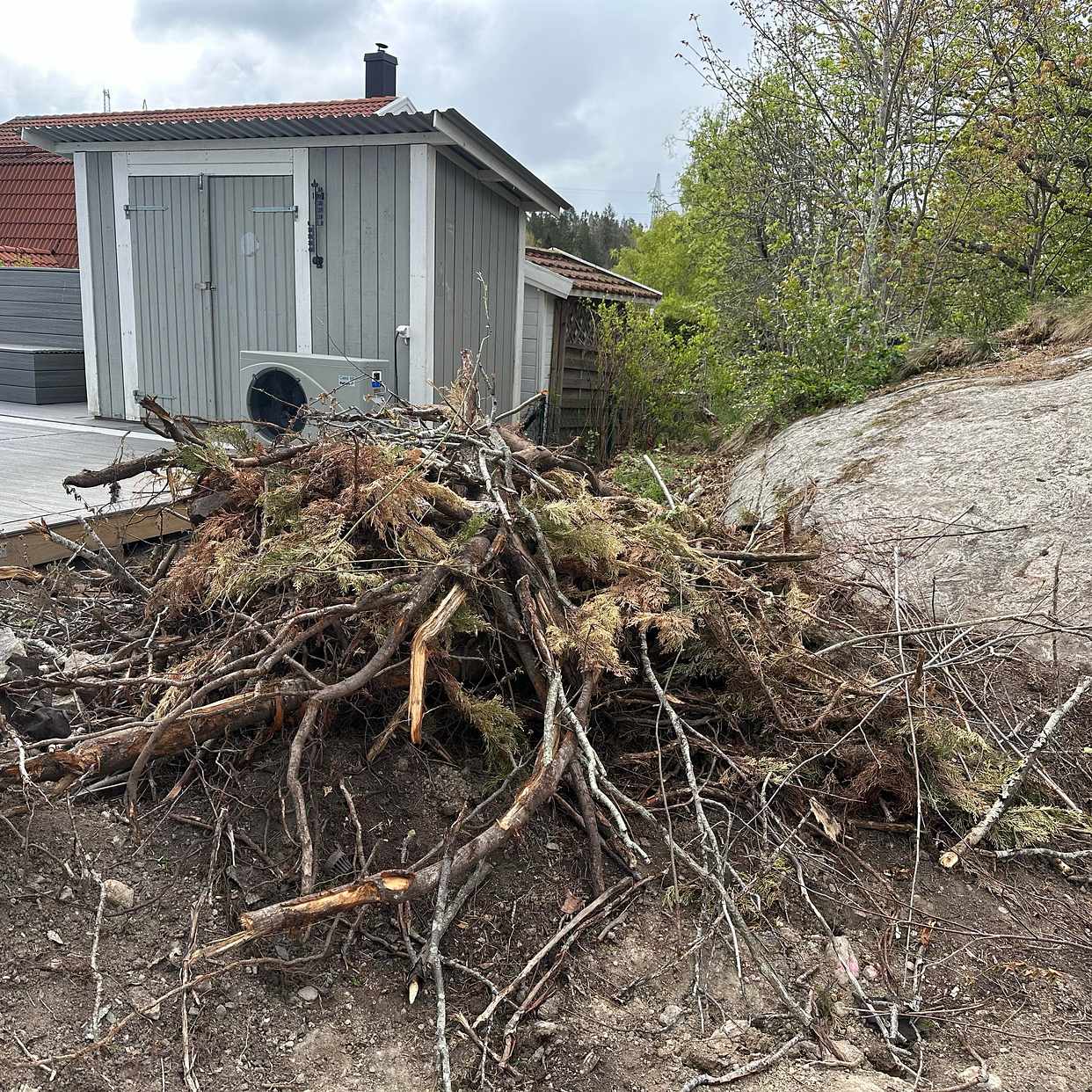 image of Ris och grenar - Huddinge
