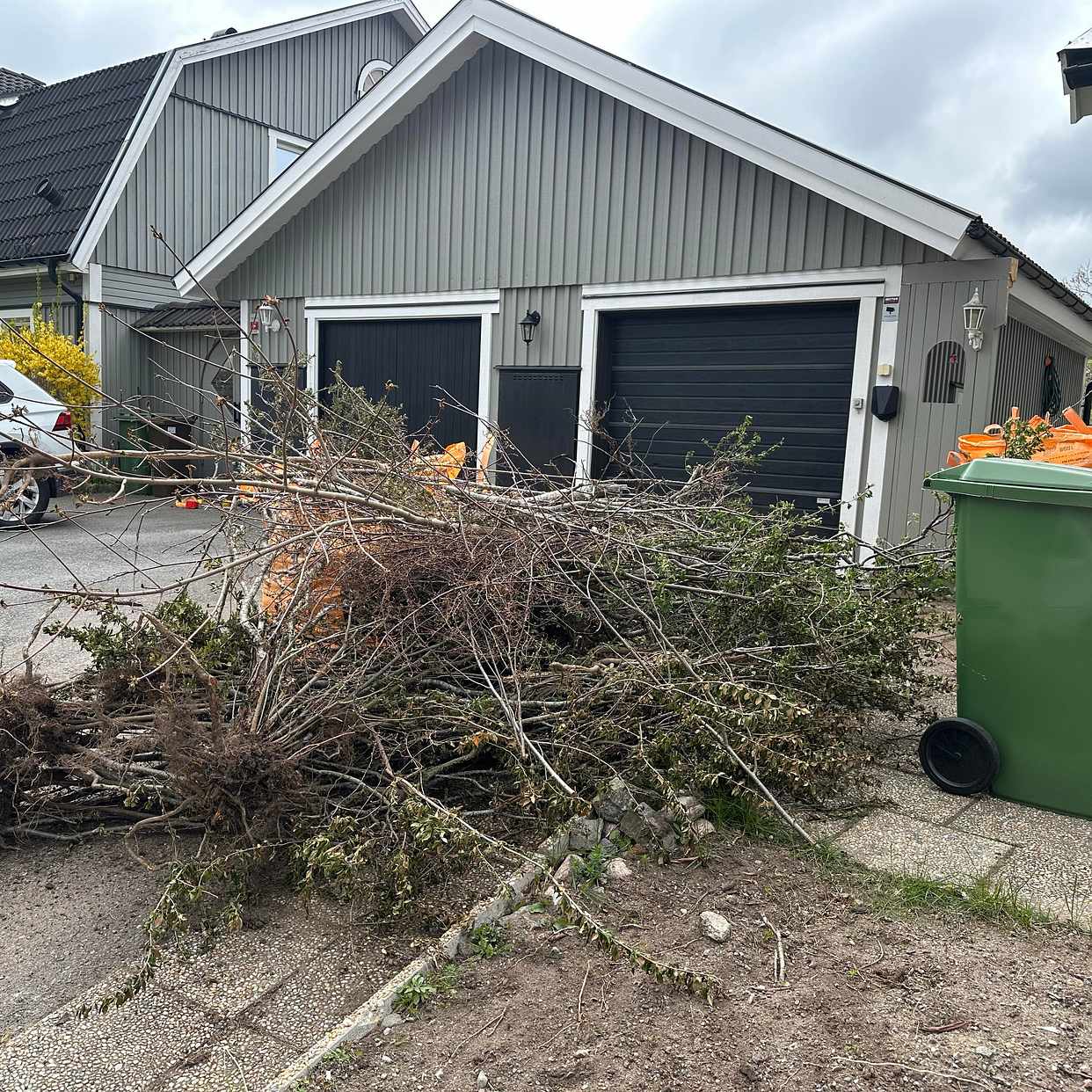 image of Ris och grenar - Huddinge