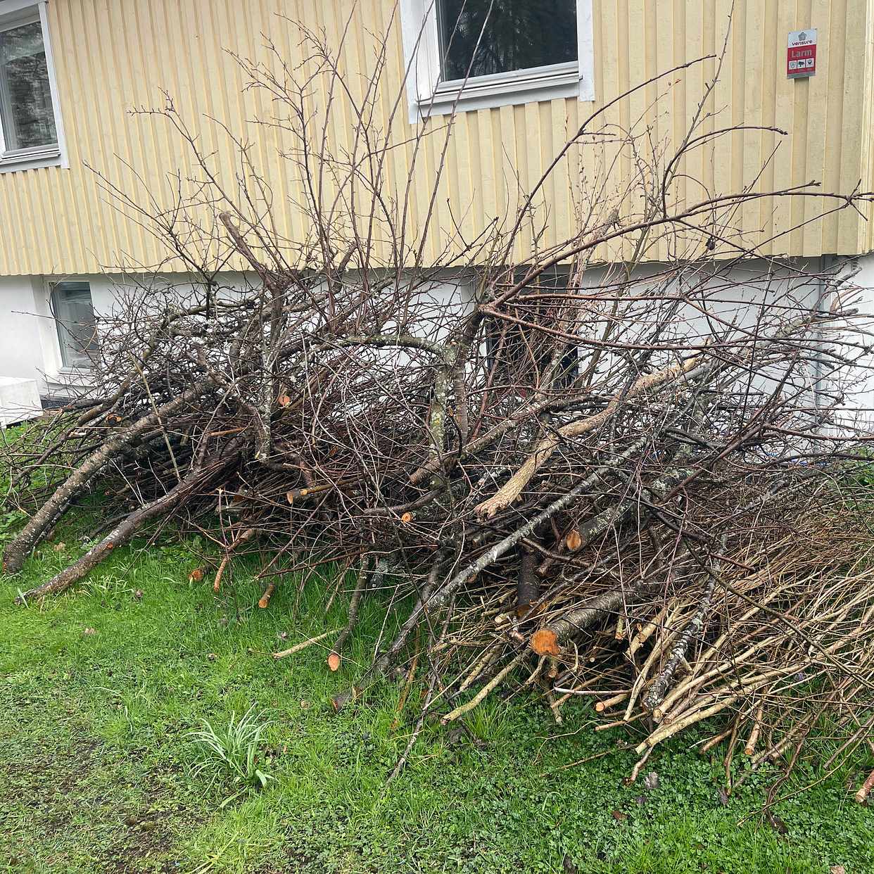 image of Remove bushes - Nacka