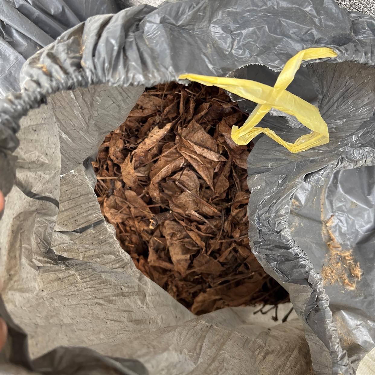 image of Garden waste removal - Mahlow