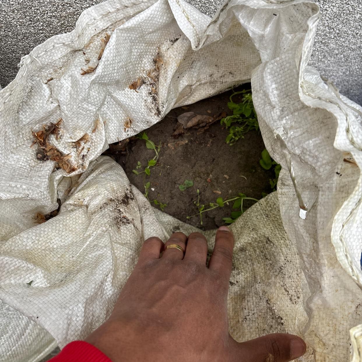 image of Garden waste removal - Mahlow