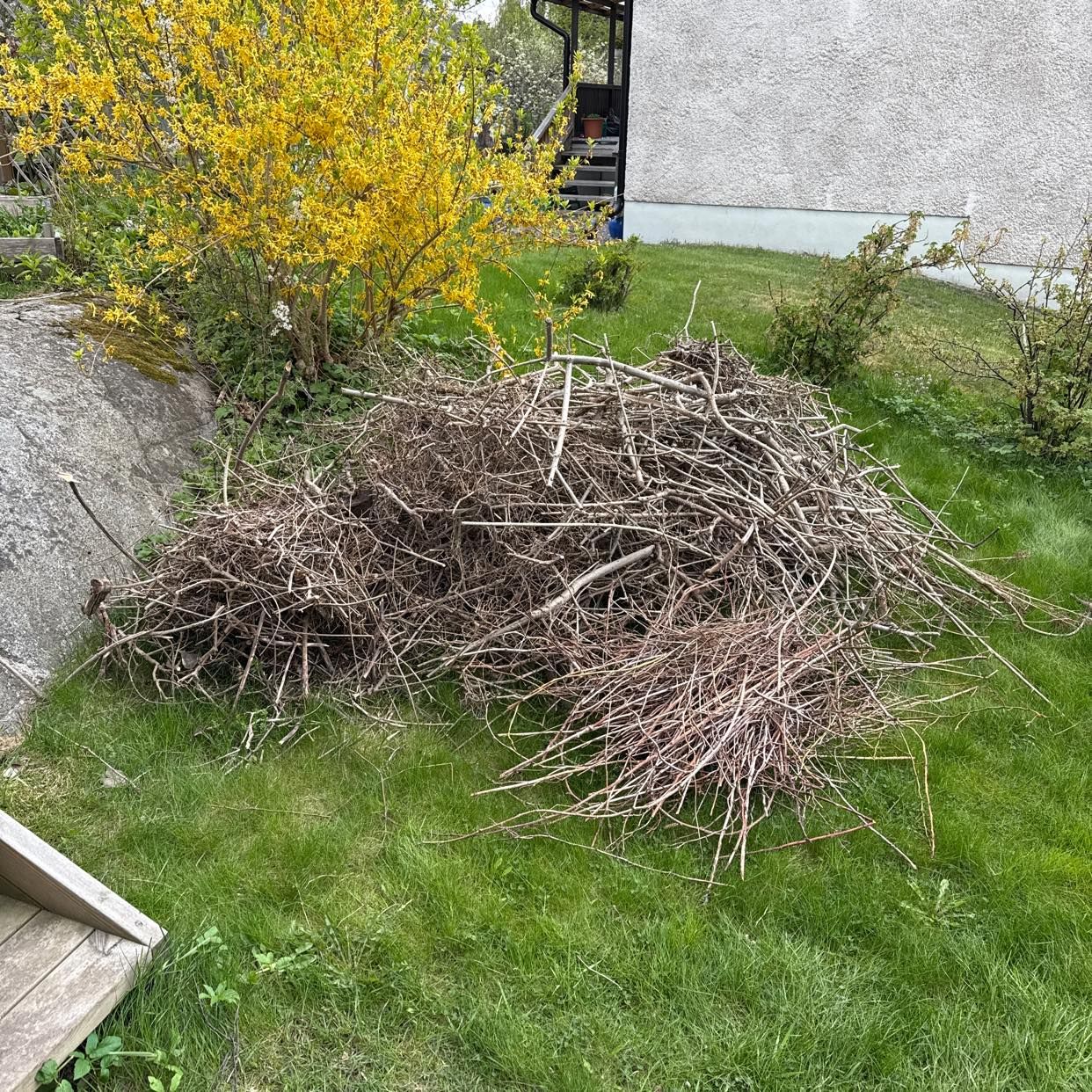 image of En hög ris - Enskede