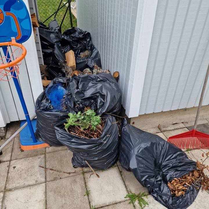 image of Lövsäckar och lite plast - Huddinge Sankt Mikaels