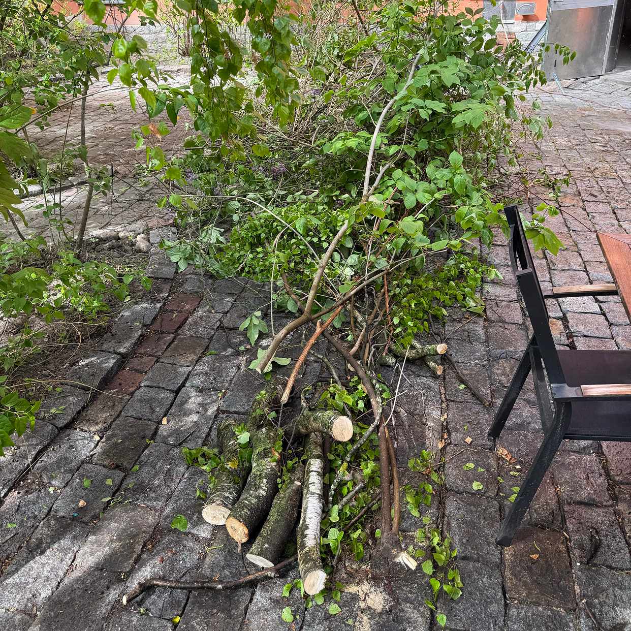 image of Garden waste - Stockholm