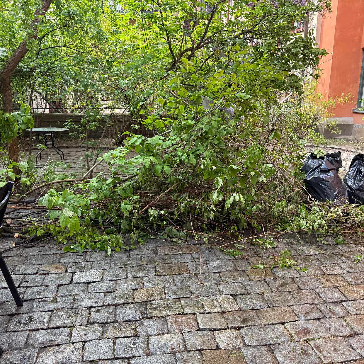 image of Garden waste - Stockholm