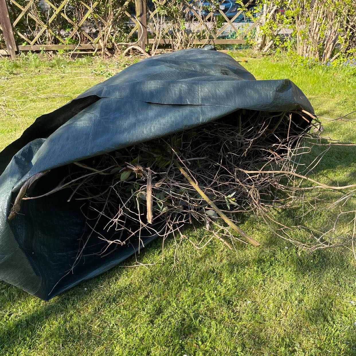 Bortforsling ris och löv