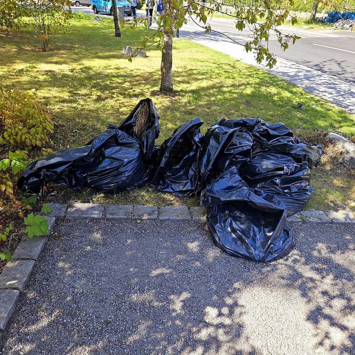 image of Löv etc - Lidingö