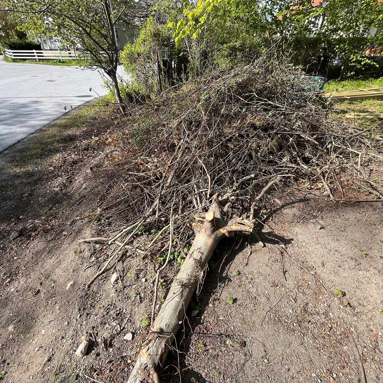 image of Bortforsling av avfall - Täby