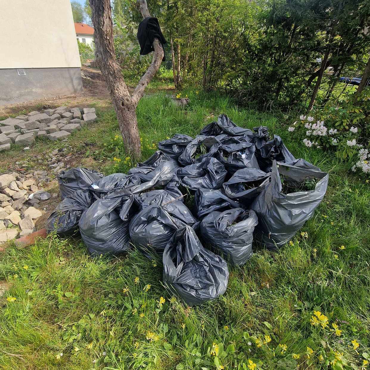 image of Skräp från tomt/renoverin - Älvsjö