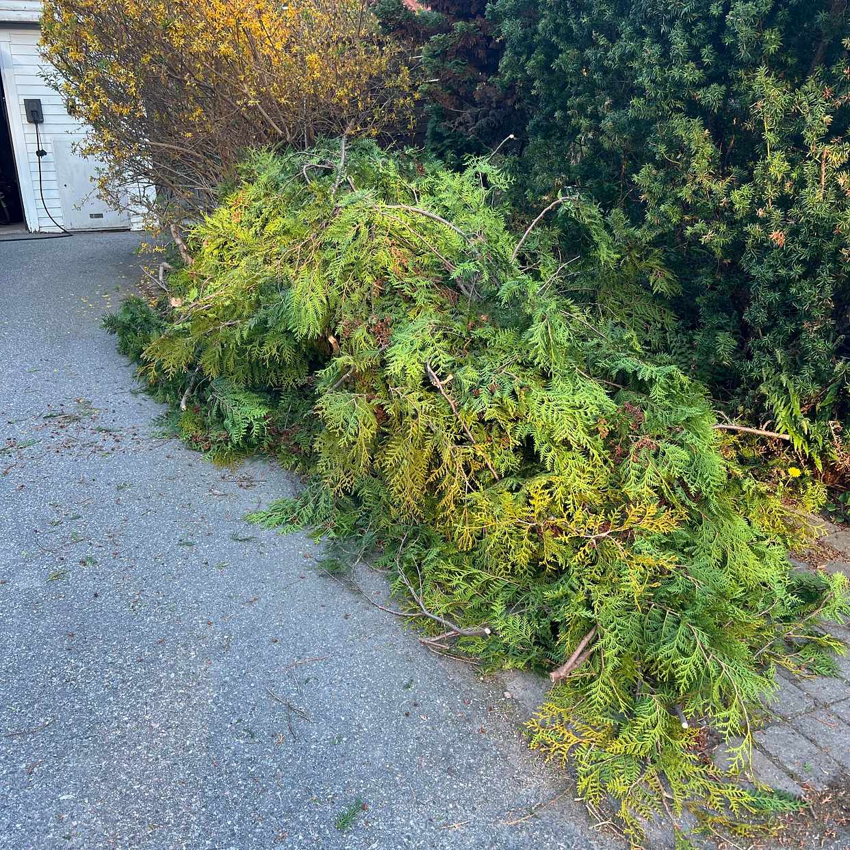 image of Hämta trädgårdsavfall - Täby