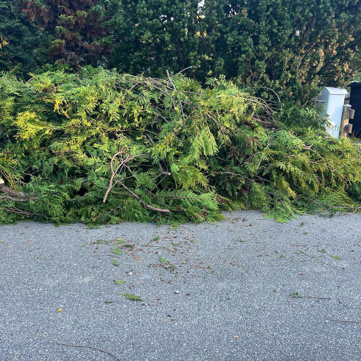 image of Hämta trädgårdsavfall - Täby