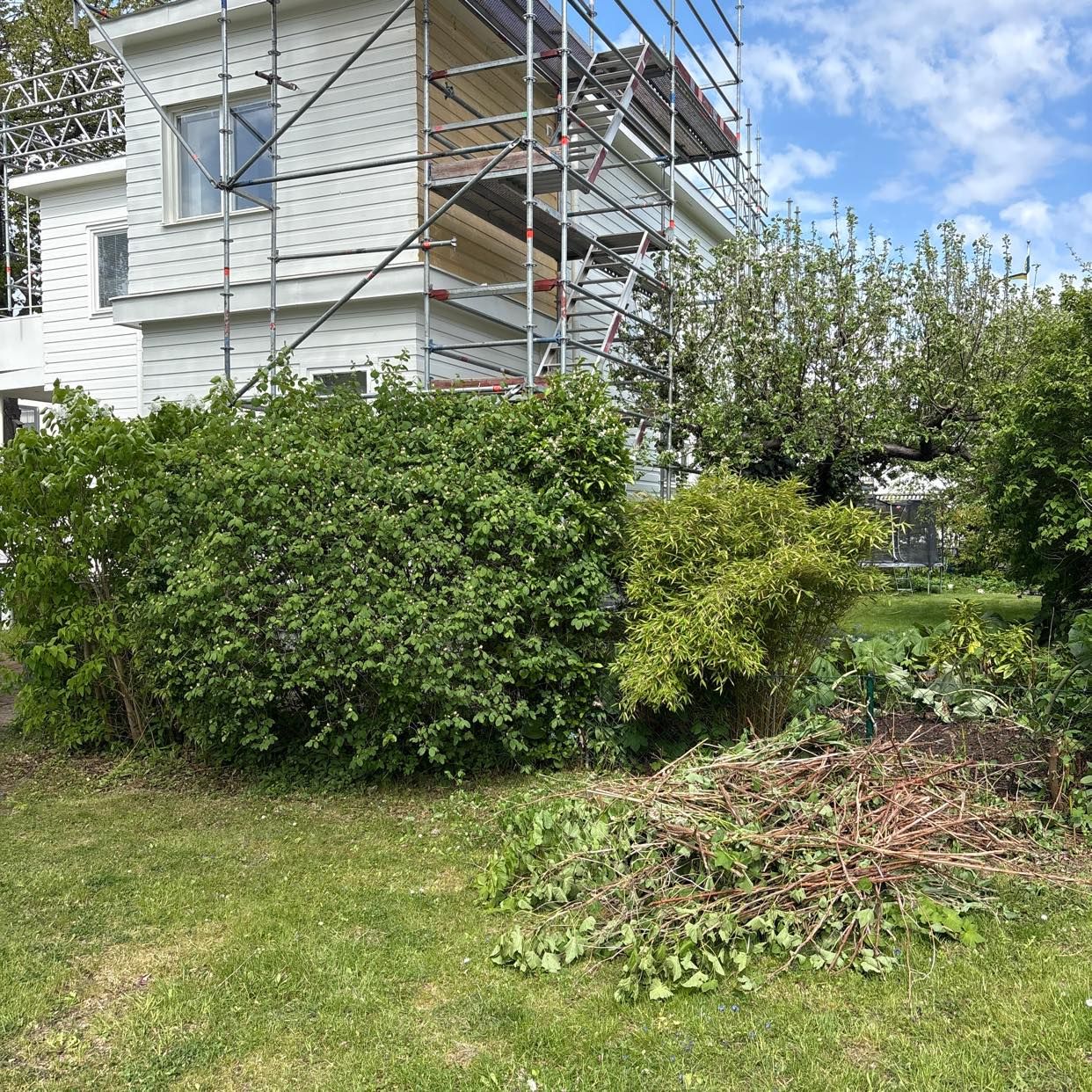 image of Garden waste - Bromma