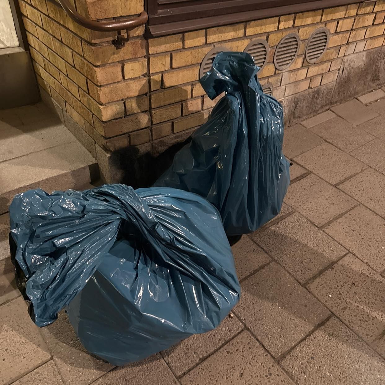 image of 2 bags of junk :) - Stockholm