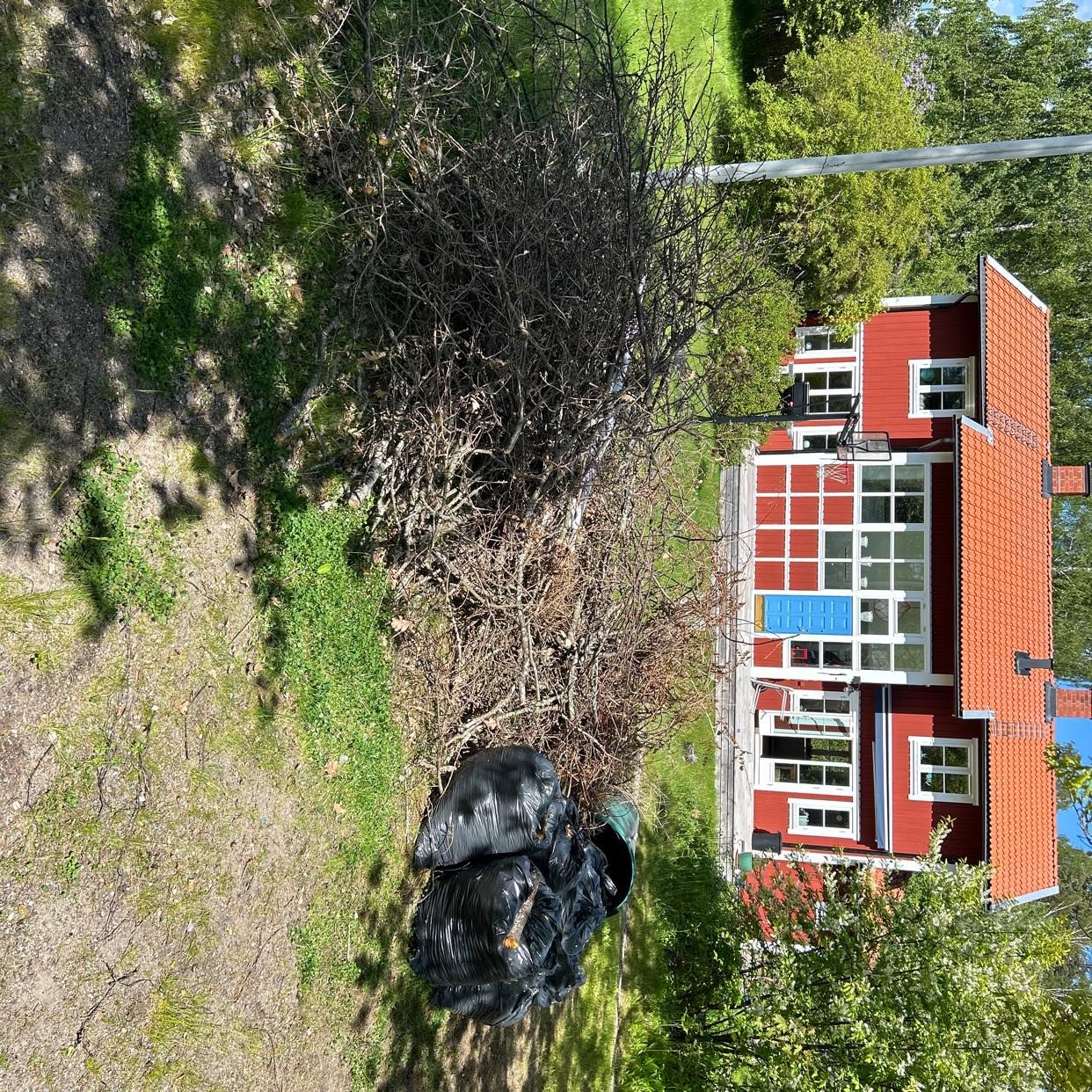 image of Bortforsling - Djurö