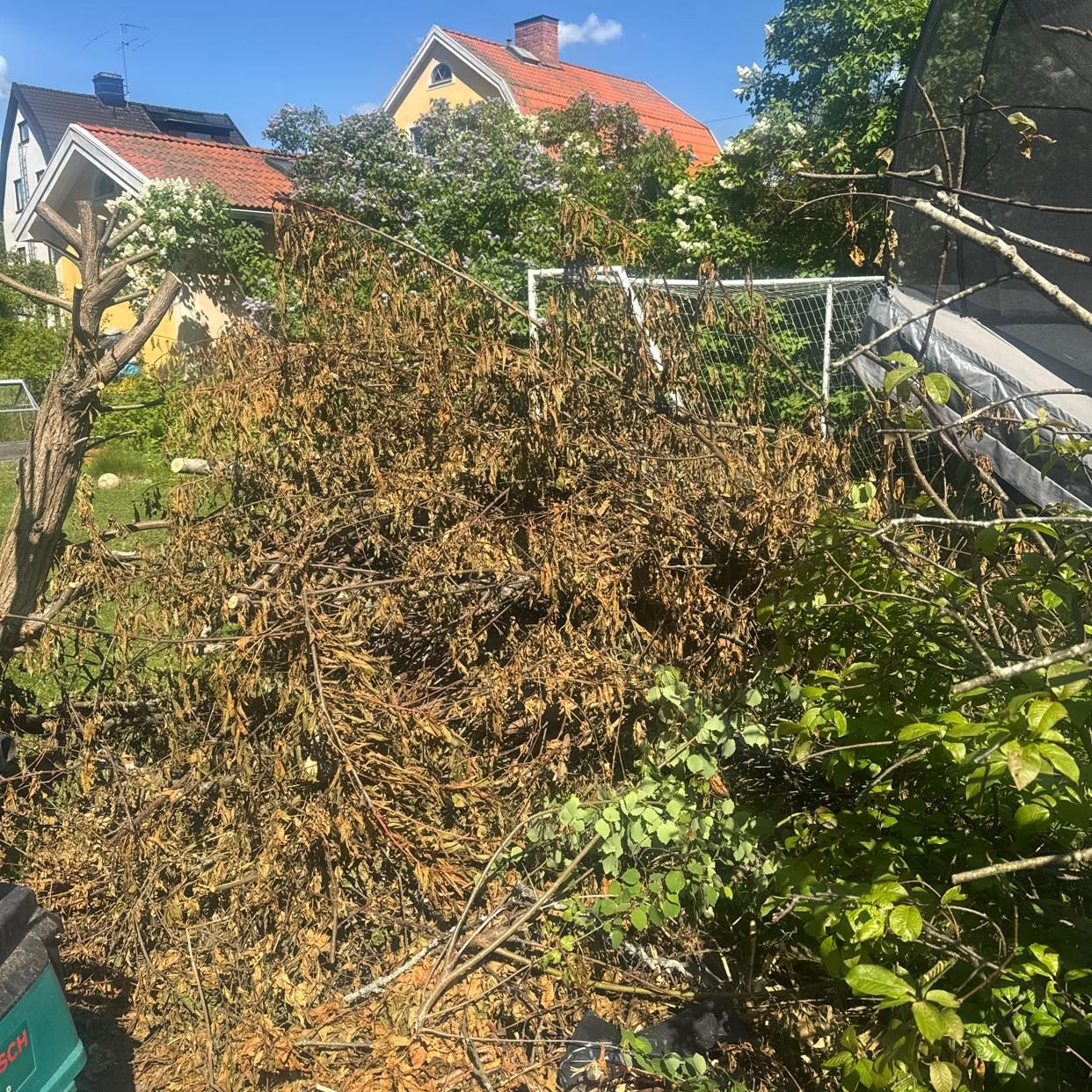 image of Grenris - Hägersten