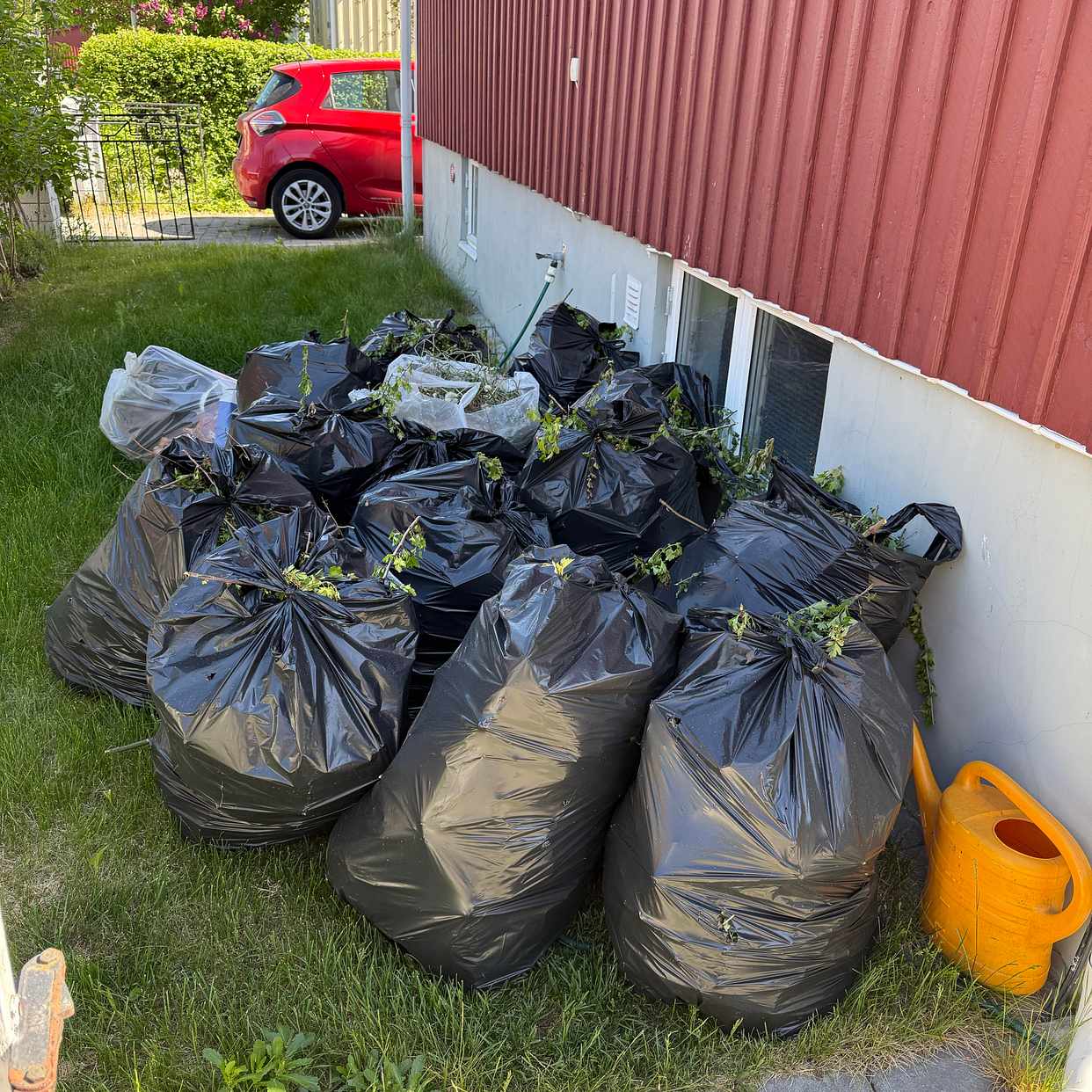 image of Frakta bort häck klipp i - Enskede-Årsta-Vantörs