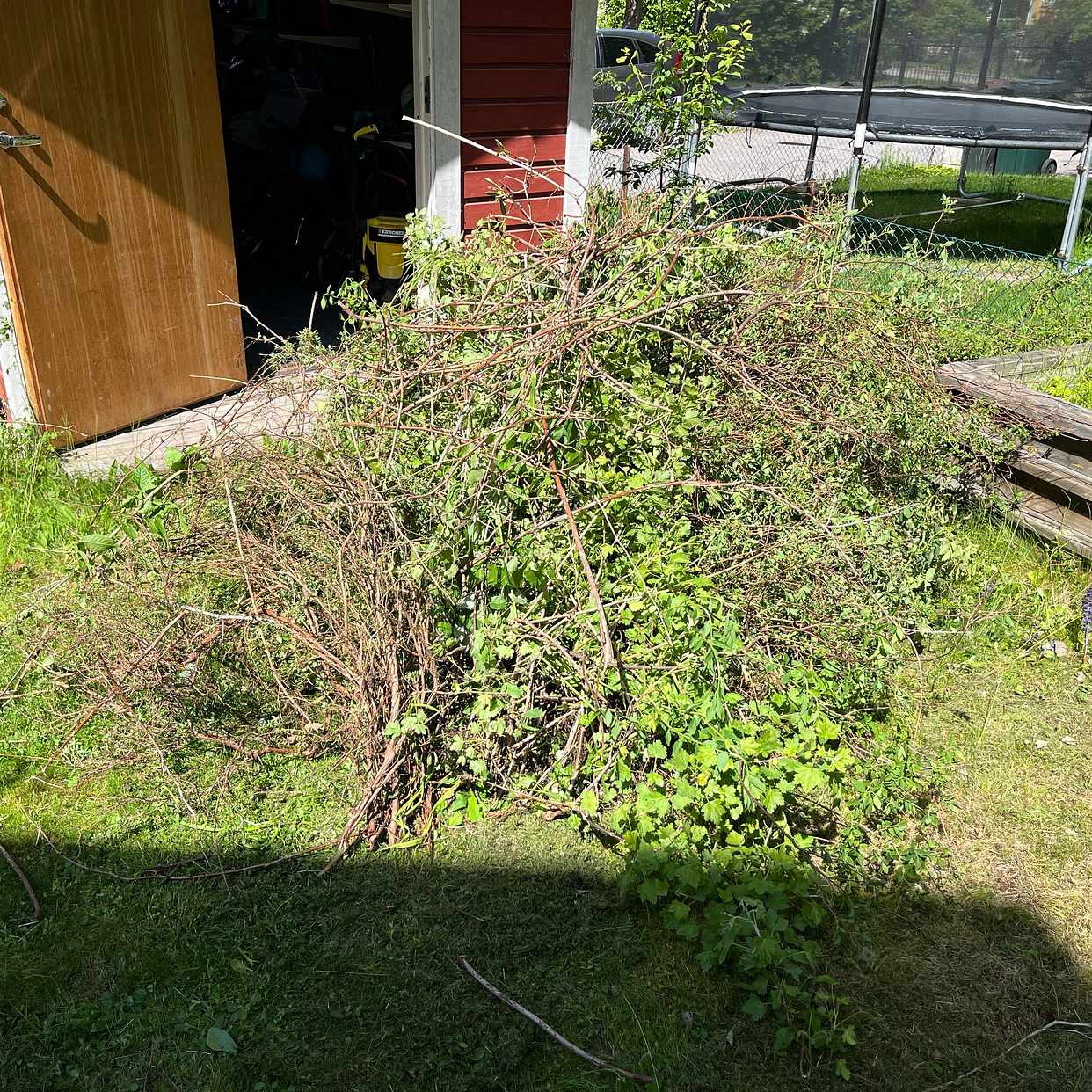 image of Kvistar och grönt - Enskede-Årsta-Vantörs