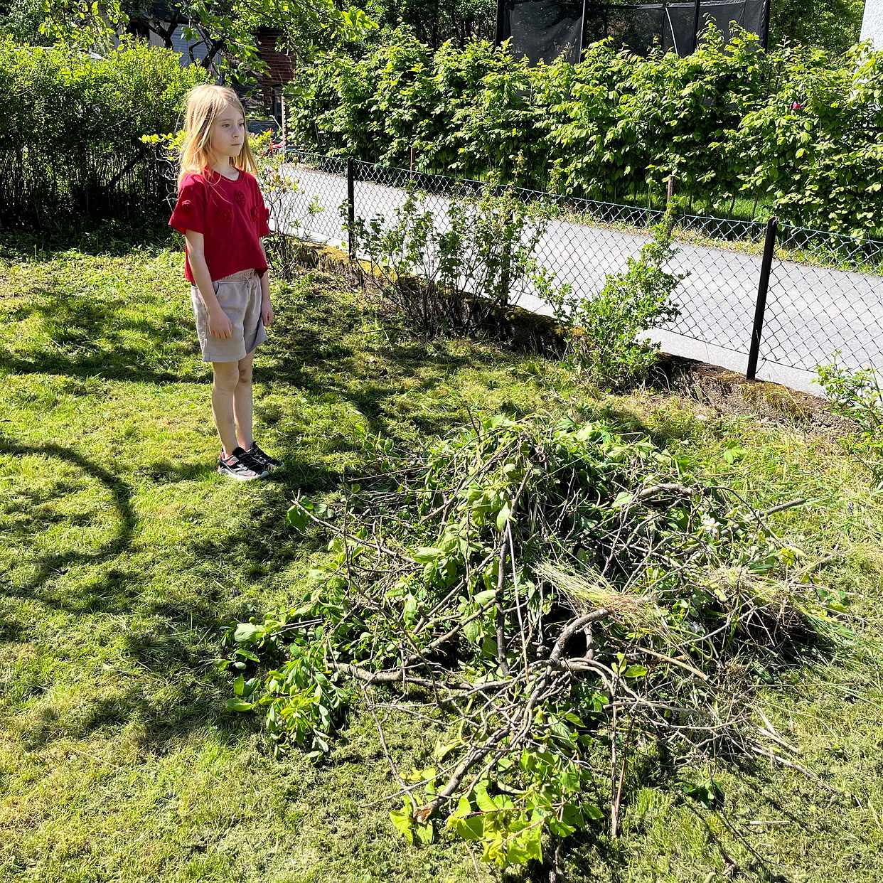 image of Kvistar och grönt - Enskede-Årsta-Vantörs